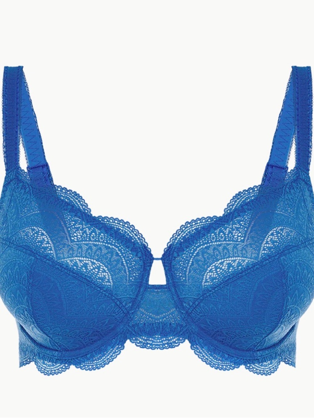 Simone Perele Blue Lace Underwire Bra